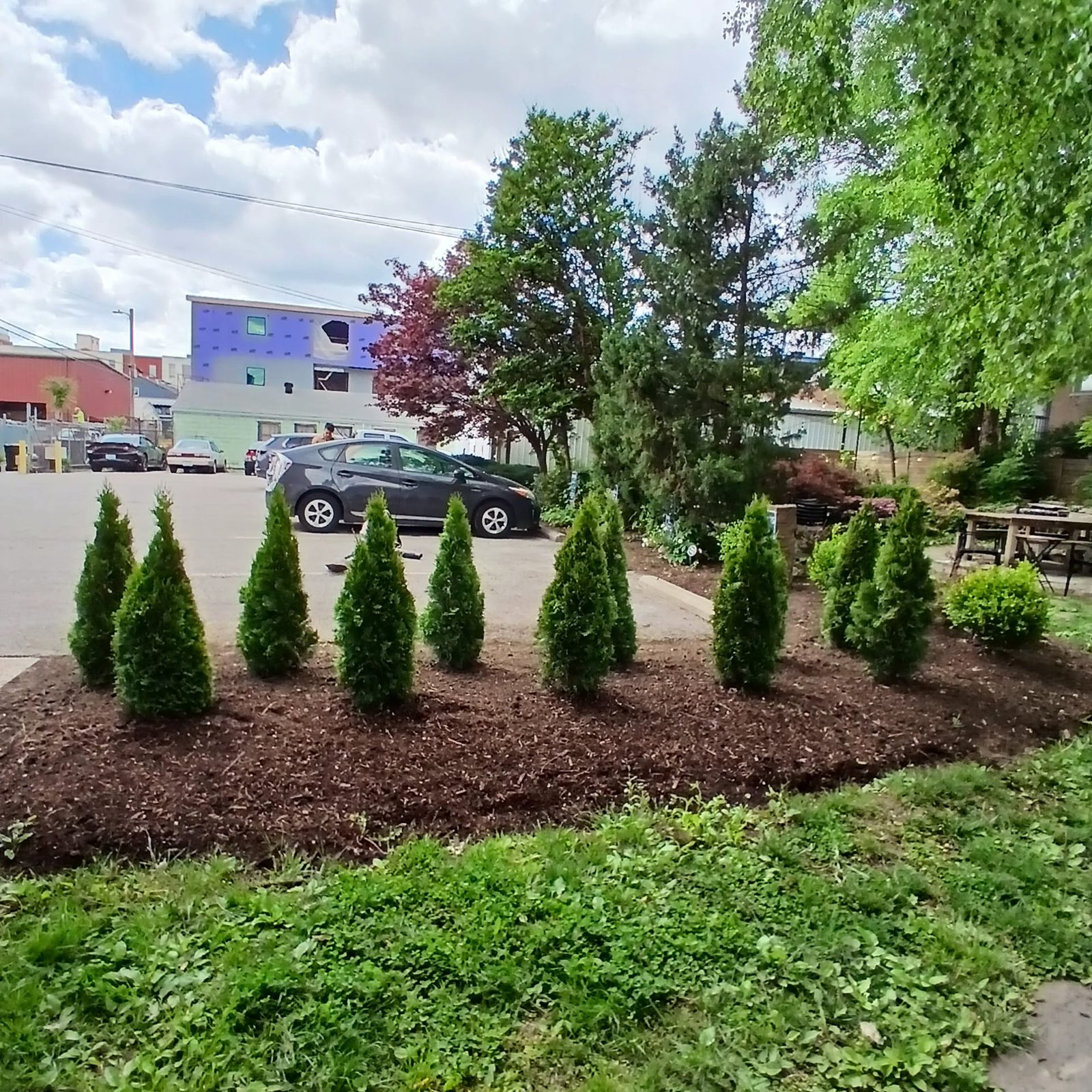 JJD Lawn Care And Lanscaping (25)